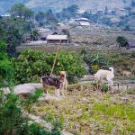 Hành trình chinh phục 40 tỉnh thành trong 4 năm đại học của 9X Hanh trinh chinh phuc 40 tinh thanh trong 4 nam dai hoc cua 9X hinh anh 1 lua3.jpg