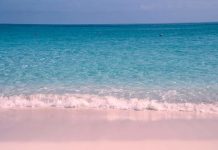 Những bãi biển màu hồng dành cho du khách ưa lãng mạn Những bãi biển màu hồng dành cho du khách ưa lãng mạn - 1