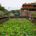 Mùa hè đến đồng sen tuyệt sắc giữa lăng tẩm rêu phong Hồ sen ở làng La Chữ, nơi cung cấp sen cho xứ Huế