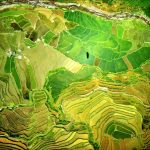 Tây Bắc đẹp mơ màng trong mùa nước đổ Tay Bac dep mo mang trong mua nuoc do hinh anh 1 paraglidingvietnam_59967397_2385978441680203_921562859680451846_n.jpg