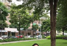 Lên hình sống ảo ở 4 công viên Sài thành Len hinh song ao o 4 cong vien Sai thanh hinh anh 1 sa2.jpg