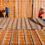 Phơi bánh tráng Trảng Bàng đạt giải ảnh ẩm thực quốc tế Phoi banh trang Trang Bang dat giai anh am thuc quoc te hinh anh 1 sl_welcome_s_08_Feb_20_1.jpg