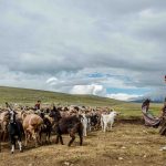 Cuộc sống như phim của những người du mục cuối cùng ở Mông Cổ Cuoc song nhu phim cua nhung nguoi du muc cuoi cung o Mong Co hinh anh 1 SPortnoy_Mongolia_16_Photo_credit_Susan_Portnoy_1920x1080.jpg