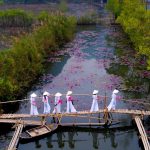 Ảnh đẹp chùa Hương đạt giải thưởng 1.000 USD Bức ảnh Mùa hoa súng của tác giả Trần Quang Quý đã đạt giải nhất cuộc thi ảnh chủ đề Mùa xuân 2020. /// Trần Quang Quý