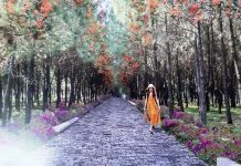 13 tỉ đồng đầu tư chỉnh trang Đồi Vọng Cảnh – Huế đón du khách Phối cảnh Đồi Vọng Cảnh của dự án