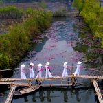 Ảnh hoa súng Việt Nam thắng giải cuộc thi quốc tế Anh hoa sung Viet Nam thang giai cuoc thi quoc te hinh anh 1 WINNER_Water_lily_season_by_quytran_Vietnam_5eb3dc9a4bafd_880.jpg