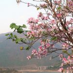 Kích cầu du lịch Tây Bắc để phát triển du lịch Việt Nam Vùng Tây Bắc hứa hẹn tiềm năng du lịch to lớn