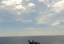 Ở Lý Sơn, người ta dùng tình đón nhau Ở Lý Sơn, người ta dùng tình đón nhau - Ảnh 1.