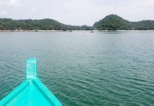 Ra đảo Hải Tặc làm… Robinson Ra đảo Hải Tặc làm… Robinson - Ảnh 1.