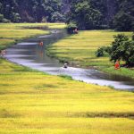 Tổng cục trưởng: Doanh nghiệp đề xuất kéo dài nghỉ lễ 2.9 để người dân đi du lịch Du lịch nội địa đang khởi sắc từ kỳ nghỉ lễ 30.4 - 1.5 đến nay