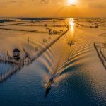 Vẻ đẹp trù phú của vùng nước Tam Giang – Cầu Hai Vẻ đẹp trù phú của vùng nước Tam Giang - Cầu Hai - Ảnh 1.