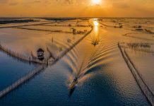 Vẻ đẹp trù phú của vùng nước Tam Giang – Cầu Hai Vẻ đẹp trù phú của vùng nước Tam Giang - Cầu Hai - Ảnh 1.