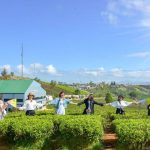 Du lịch tự chọn ‘lên ngôi’: Giá rẻ, lịch trình tự do và nhiều ưu đãi Du lịch theo nhóm và tự chọn đang lên ngôi