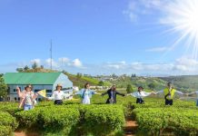 Du lịch tự chọn ‘lên ngôi’: Giá rẻ, lịch trình tự do và nhiều ưu đãi Du lịch theo nhóm và tự chọn đang lên ngôi