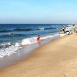 Rộn ràng tour lên rừng xuống biển phương Nam Rộn ràng tour lên rừng xuống biển phương Nam - Ảnh 1.