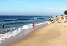 Rộn ràng tour lên rừng xuống biển phương Nam Rộn ràng tour lên rừng xuống biển phương Nam - Ảnh 1.