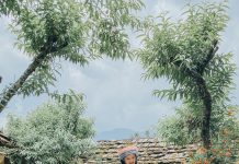 Các điểm đến Việt Nam được truyền thông quốc tế ca ngợi Dia diem du lich 2020 anh 1