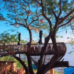 Cà phê trên cây và các quán có không gian khác lạ ở Cần Thơ quan ca phe dep o Can Tho anh 1