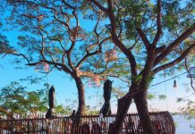 Cà phê trên cây và các quán có không gian khác lạ ở Cần Thơ quan ca phe dep o Can Tho anh 1