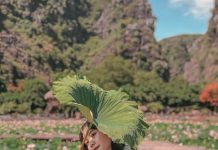 Đến hang Múa, check-in đầm sen nở rộ hang Mua Ninh Binh anh 1