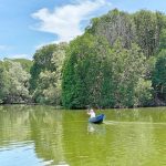 Vị ngọt mặn của vùng đất Cà Mau Vị ngọt mặn của vùng đất Cà Mau - Ảnh 1.