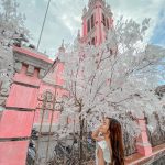 Báo Tây chọn nhà thờ TP.HCM vào top địa điểm màu hồng trên thế giới nha tho tan dinh anh 1