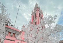 Báo Tây chọn nhà thờ TP.HCM vào top địa điểm màu hồng trên thế giới nha tho tan dinh anh 1