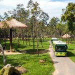 Quảng Ninh lên kế hoạch làm ‘Safari Hạ Long’ Quảng Ninh đang lên phương án làm công viên rừng /// Ảnh N.H