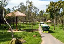 Quảng Ninh lên kế hoạch làm ‘Safari Hạ Long’ Quảng Ninh đang lên phương án làm công viên rừng /// Ảnh N.H