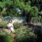 Check-in cánh đồng hoa thạch thảo ở miền Tây, du khách thỏa sức ‘sống ảo’ Du khách tạo dáng trong vườn thạch thảo ở miền Tây mà không cần đi... Đà Lạt /// Luân Trần