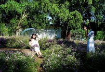 Check-in cánh đồng hoa thạch thảo ở miền Tây, du khách thỏa sức ‘sống ảo’ Du khách tạo dáng trong vườn thạch thảo ở miền Tây mà không cần đi... Đà Lạt /// Luân Trần