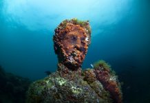 Pokemon đời thật và 6 điều kỳ lạ được tìm thấy dưới biển sâu duoi day bien co gi anh 1