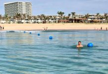 Cá heo xuất hiện gần bờ tại Bãi Dài Cam Ranh khiến du khách thích thú Cá heo xuất hiện gần bờ tại khu vực Bãi Dài /// Ảnh: Chụp lại Facebook