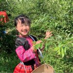 Cô bé lớp 1 giới thiệu cuộc sống của đồng bào H’Mông bằng tiếng Anh gây sốt Cô bé lớp 1 giới thiệu cuộc sống của đồng bào H’Mông bằng tiếng Anh gây sốt