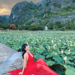 Đầm sen ở Hang Múa nở rộ, giới trẻ thích thú đến check-in Đầm sen ở Hang Múa nở rộ, giới trẻ thích thú đến check-in