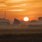 Có một Hóc Môn đẹp xao xuyến trong ánh bình minh Có một Hóc Môn đẹp xao xuyến trong ánh bình minh - Ảnh 1.