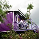 Căn nhà toàn màu tím giữa miền Tây khiến nhiều người ngỡ ngàng Căn nhà màu tím độc đáo được dựng trên thân của một cây bằng lăng tím, nằm giữa ốc đảo, xung quanh là rạch nước để khách chèo xuồng /// Ảnh: Đình Tuyển