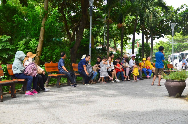Du khách đổ xô đến Đà Nẵng dịp nhiều điểm du lịch miễn phí vé tham quan - ảnh 4