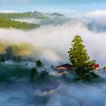 Đà Lạt, lạc giữa bềnh bồng trời mây trong mùa ‘săn’ đẹp nhất Đà Lạt mùa này đang là mùa săn mây tuyệt đẹp