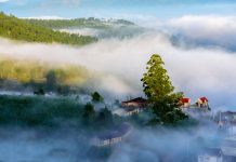 Đà Lạt, lạc giữa bềnh bồng trời mây trong mùa ‘săn’ đẹp nhất Đà Lạt mùa này đang là mùa săn mây tuyệt đẹp