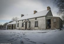 Ngôi nhà bỏ hoang, bên trong toàn đồ cổ phủ bụi Ngỡ ngàng ngôi nhà bỏ hoang, bên trong toàn đồ cổ phủ bụi - 1