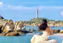 3 điểm du lịch có hàng sứ cổ thụ hút khách check-in du lich he anh 1