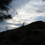 Từ Phú Yên tôi lại đến… Kỳ Co Từ Phú Yên tôi lại đến... Kỳ Co - Ảnh 1.