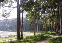 ‘Cung đường bún nước lèo miền Tây’ Cung đường bún nước lèo miền Tây - Ảnh 1.