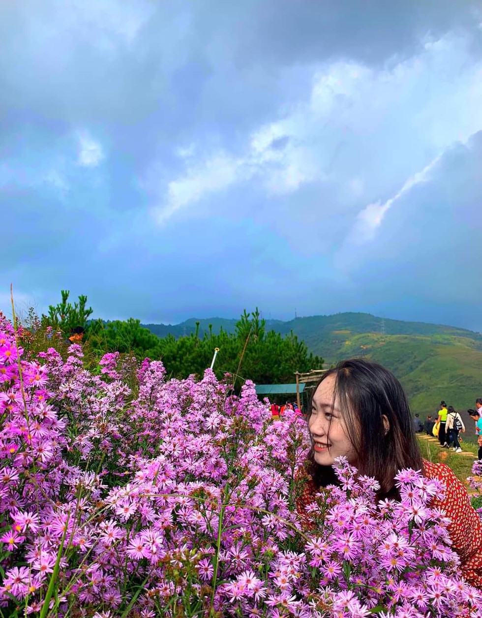 Check in đỉnh Pha Đin: Mê mẩn sắc hoa, lạc trôi giữa trời gió lộng - ảnh 12