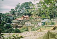 Bản đồ địa điểm ăn uống, check-in nổi bật tại Đà Lạt kinh nghiem du lich Da Lat anh 1