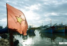 Đến Cù Lao Câu lặn ngắm san hô, ngắm vương quốc đá Đến Cù Lao Câu lặn ngắm san hô, ngắm vương quốc đá - Ảnh 1.