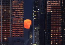 Cơ hội chiêm ngưỡng nguyệt thực ngay trong tuần này Cơ hội chiêm ngưỡng nguyệt thực ngay trong tuần này - Ảnh 1.