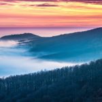 Top 10 hộ chiếu “quyền lực” nhất thế giới năm 2020 Top 10 hộ chiếu “quyền lực” nhất thế giới năm 2020 - Ảnh 1.