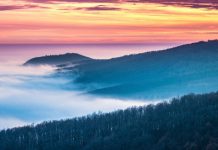 Top 10 hộ chiếu “quyền lực” nhất thế giới năm 2020 Top 10 hộ chiếu “quyền lực” nhất thế giới năm 2020 - Ảnh 1.